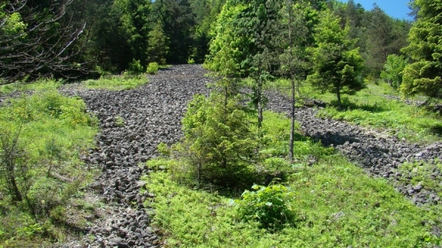 201006251524430.pieniny 2010 065